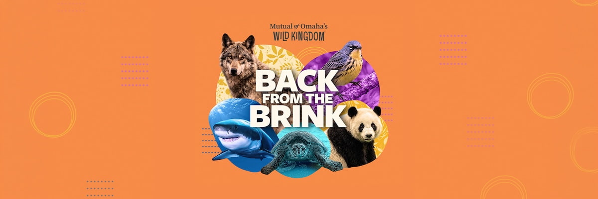 Image depicting a myriad of animals and the Back from the Brink logo.