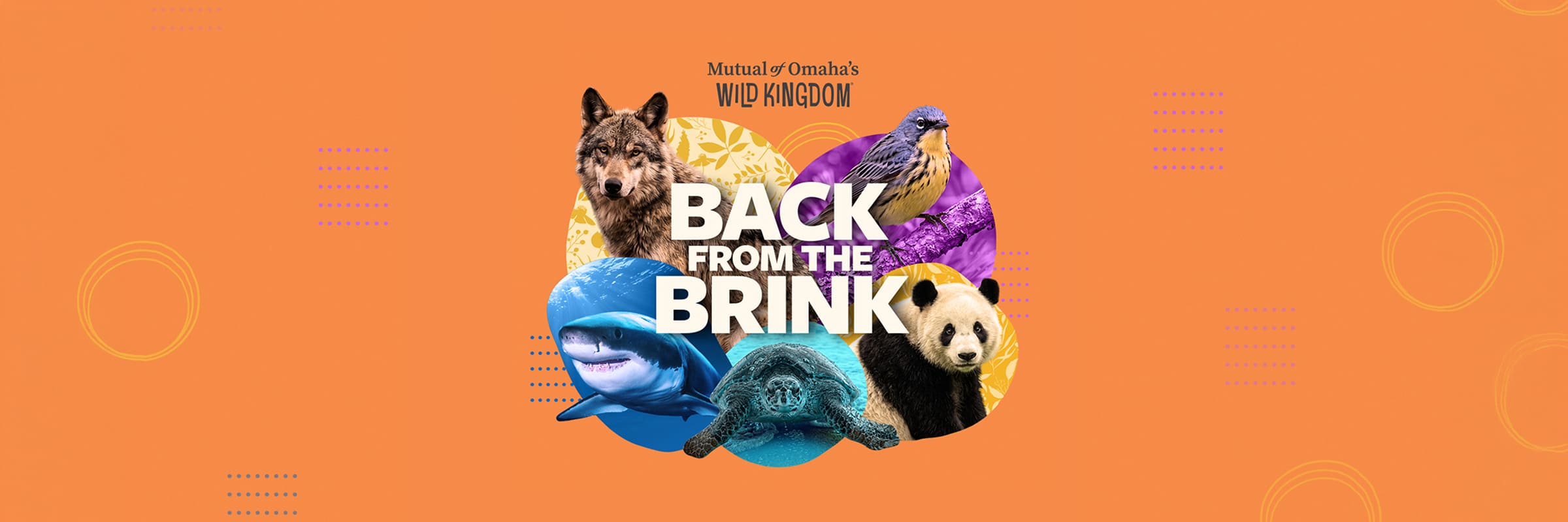 Image depicting a myriad of animals and the Back from the Brink logo.